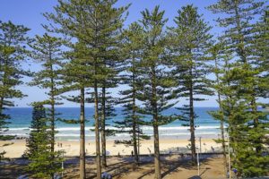 Manly Beach, Sydney